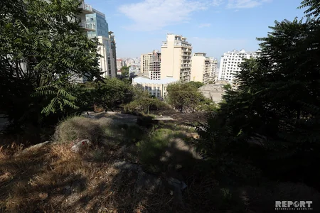 Bakıda ağaclıq sahədə baş verən yanğın söndürülüb - FOTO - YENİLƏNİB-2