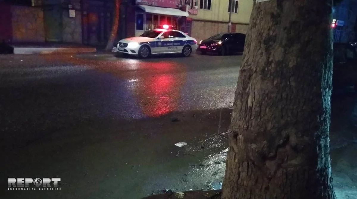 Tovuzda avtomobil ağaca çırpılıb, ölən və yaralanan var - FOTO