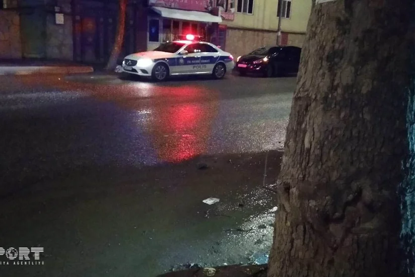 Tovuzda avtomobil ağaca çırpılıb, ölən və yaralanan var - FOTO