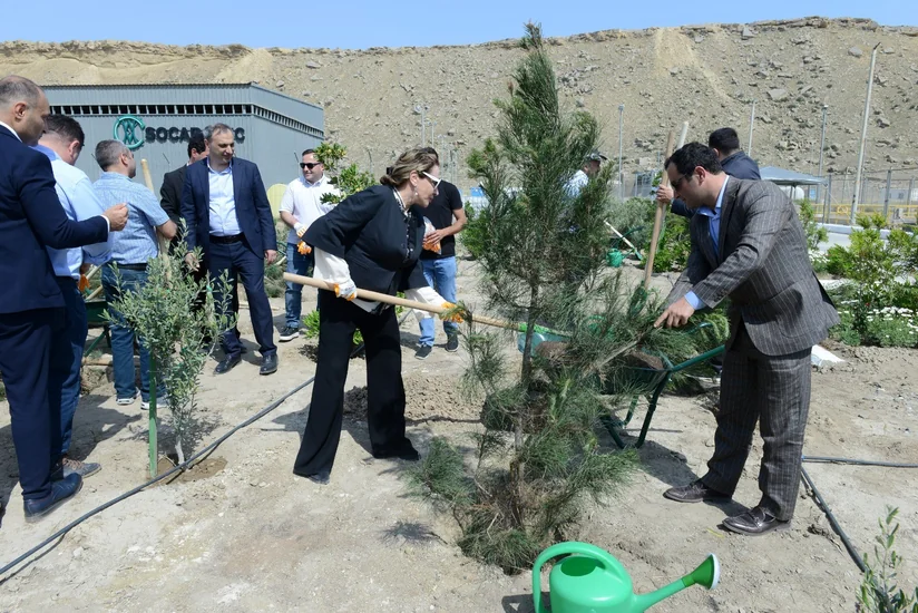 Heydər Əliyevin 100 illik yubileyi münasibətilə CEPI tərəfindən ağacəkmə kampaniyası keçirilib