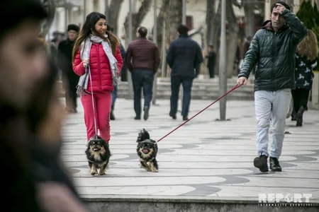 Bakıda Sevgililər günündən - FOTOREPORTAJ - VİDEO - YENİLƏNİB