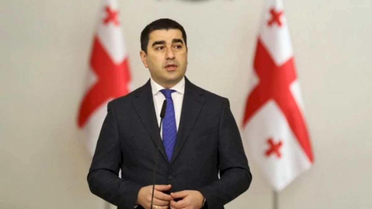 Parlament sədri: Gürcüstanda QHT-lərin maliyyələşməsi və ayrılan vəsaitin hara xərcləndiyi bilinmir