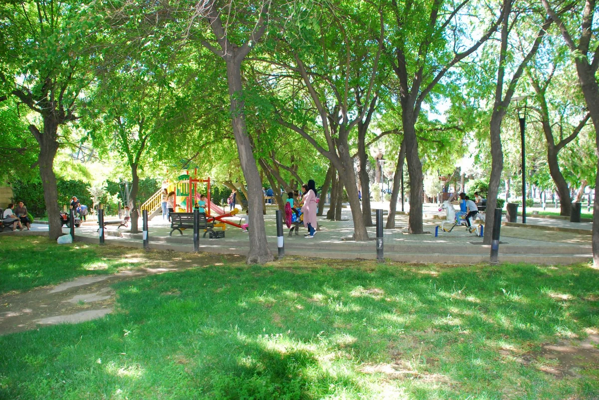 Eldar Əzizov: Hər bir icra başçısı rayondakı parkların vəziyyəti ilə bağlı məsuliyyət daşıyır