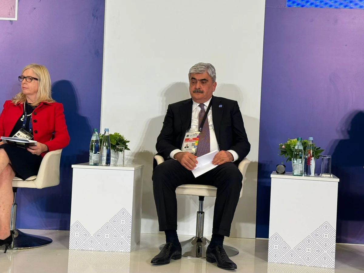 Nazir: İqlim maliyyələşməsinin böyük hissəsini inkişaf etmiş ölkələr ayırmalıdır