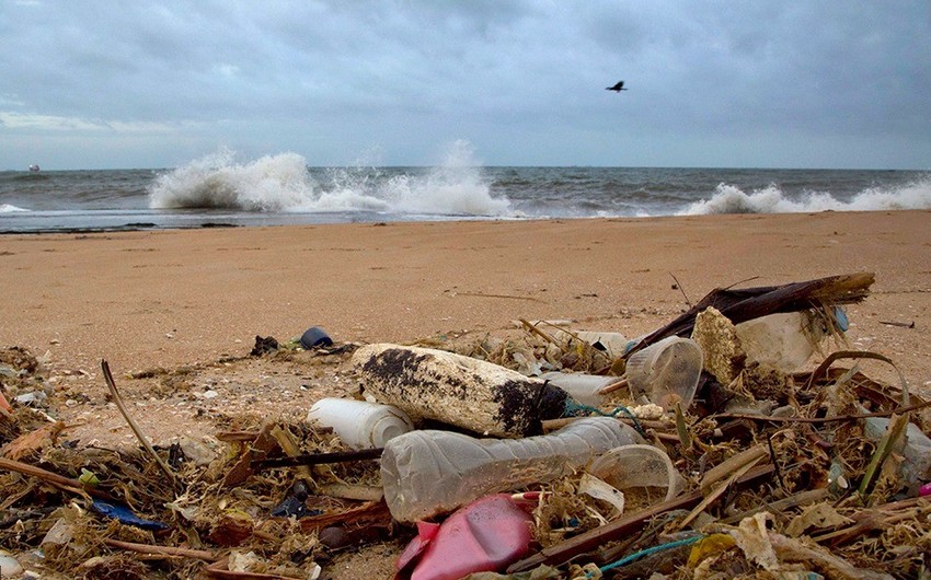 Scientists reveal what happens to plastic from oceans