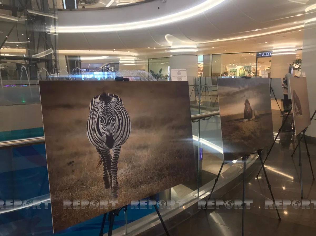 В Баку открылась выставка марокканского фотографа об Африке