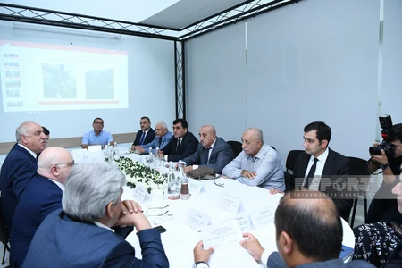Qurumuş və qəzalı ağacların götürülməsi ilə bağlı ictimai dinləmə keçirilib