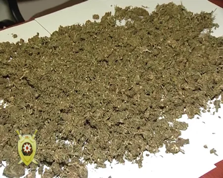 Sabirabadda 26 kiloqramdan artıq narkotik maddə qanunsuz dövriyyədən çıxarılıb
