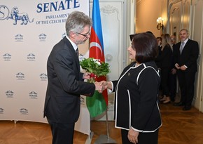 Sahiba Gafarova informs President of Senate of Czech Parliament about military and political provocations of Armenia