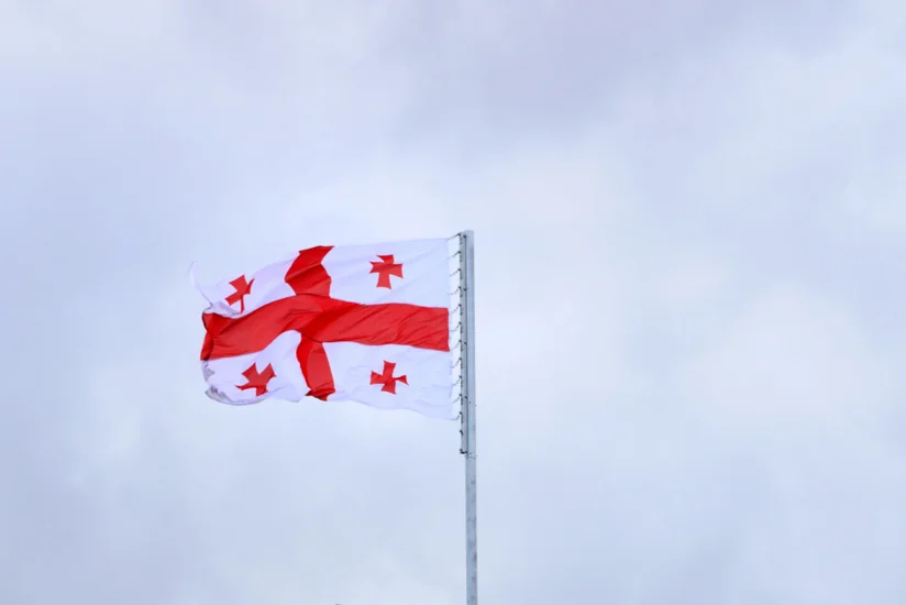 В правительстве Грузии произведены кадровые перестановки