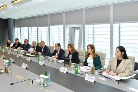Azerbaijan, European Commission mull partnership with EU within COP29