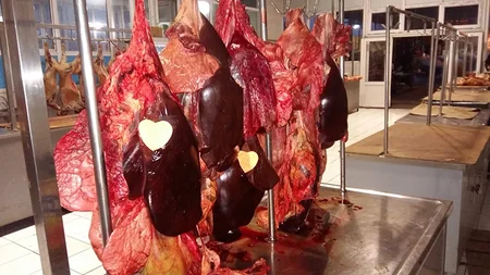 Təzə bazarda qanunsuz fəaliyyət göstərən sex aşkarlanıb