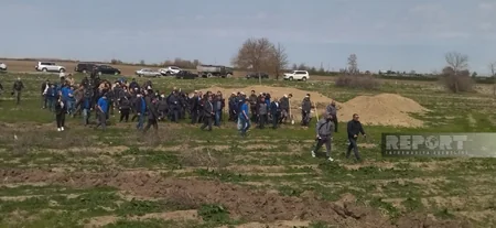 В Карабахе прошла акция по посадке деревьев