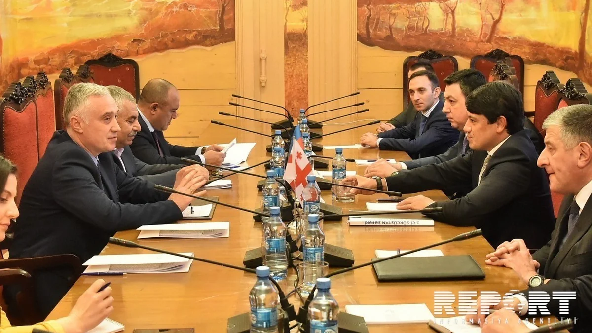 Vitse-spiker: “Gürcüstan və Azərbaycan arasında əməkdaşlığın dərinləşdirilməsi qarşısıalınmaz prosesdir”