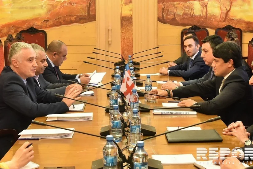 Vitse-spiker: “Gürcüstan və Azərbaycan arasında əməkdaşlığın dərinləşdirilməsi qarşısıalınmaz prosesdir”