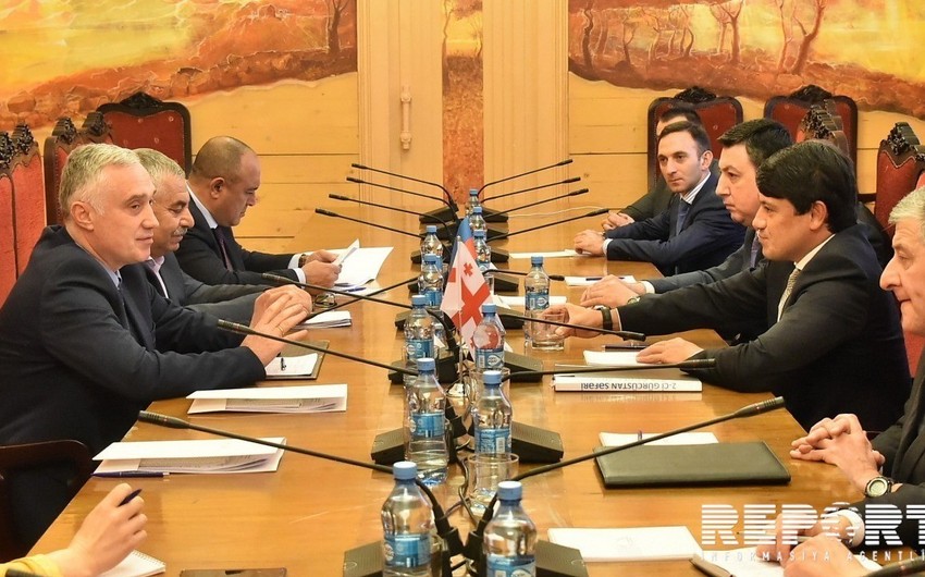 Vitse-spiker: “Gürcüstan və Azərbaycan arasında əməkdaşlığın dərinləşdirilməsi qarşısıalınmaz prosesdir”