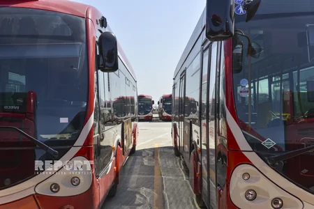 New buses will be brought Baku in July