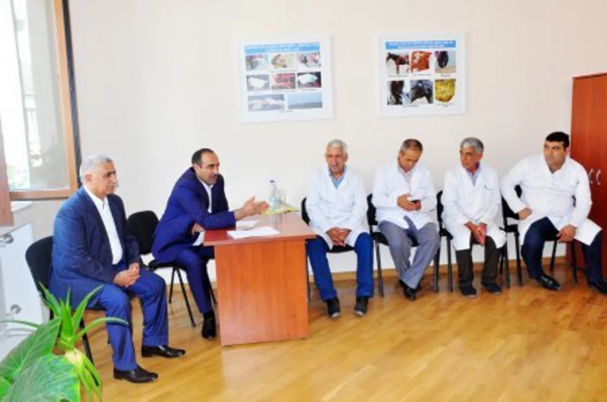 Ağsu və Göyçayda heyvan xəstəliklərinə qarşı peyvəndləmə aparılır