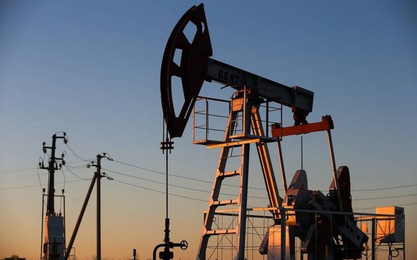 МЭА сохранил прогноз добычи нефти в мире в 2024-2025 годах