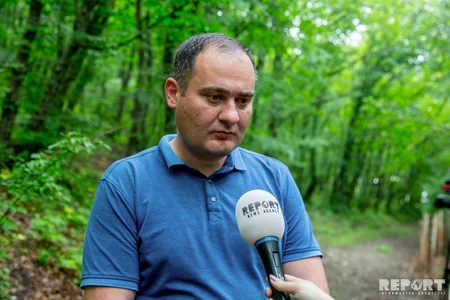 Bakıya ən yaxın böyük meşədən... - REPORTAJ