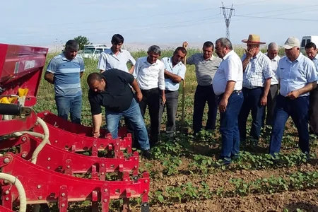 Pambıqçılıqda məhsuldarlığın artırılması ilə bağlı təlimlər keçirilir