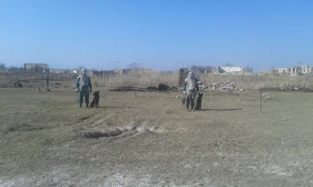 Cocuq Mərcanlıda 421 ədəd qəlpə aşkar edilib