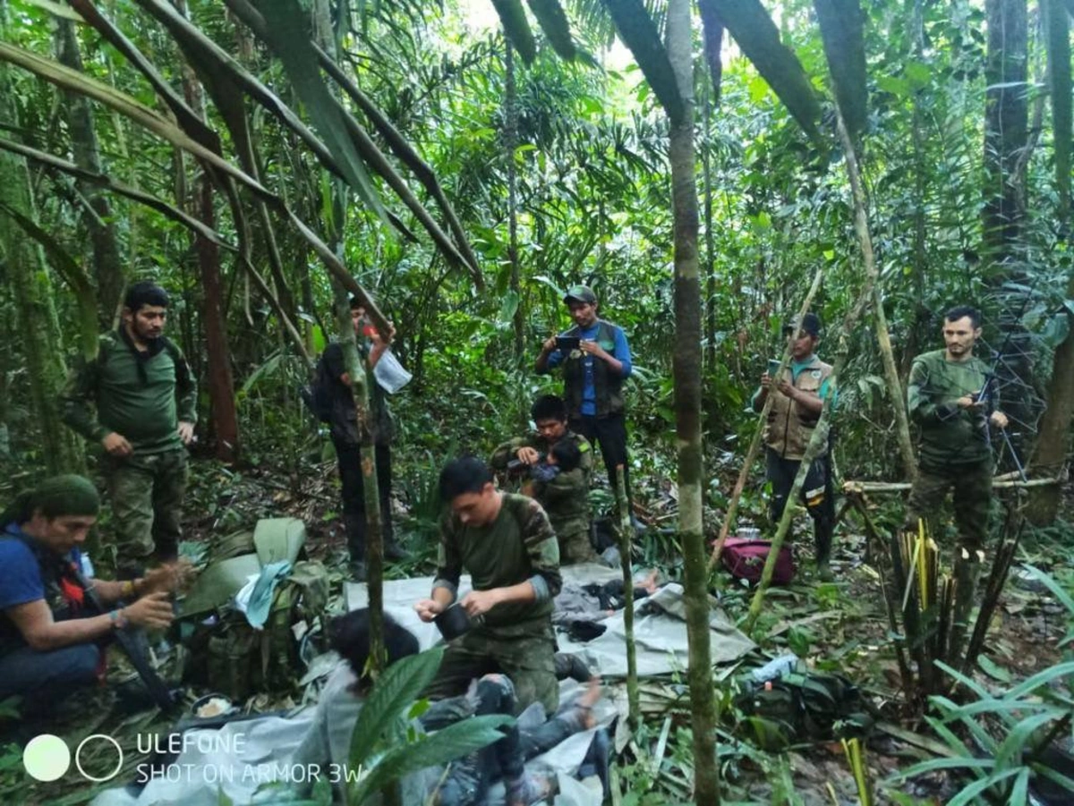 Colombia plane crash: Four children found alive in Amazon after 40 days