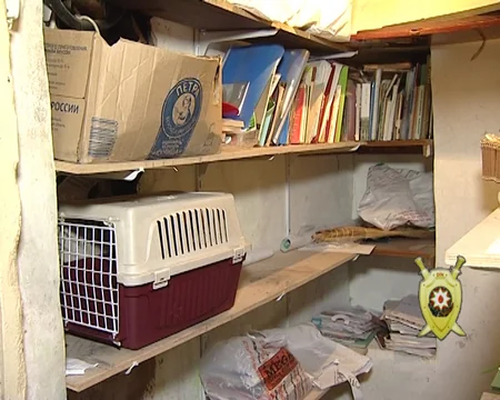 Bakıda 900-dən çox kitab oğurlayan şəxs tutulub