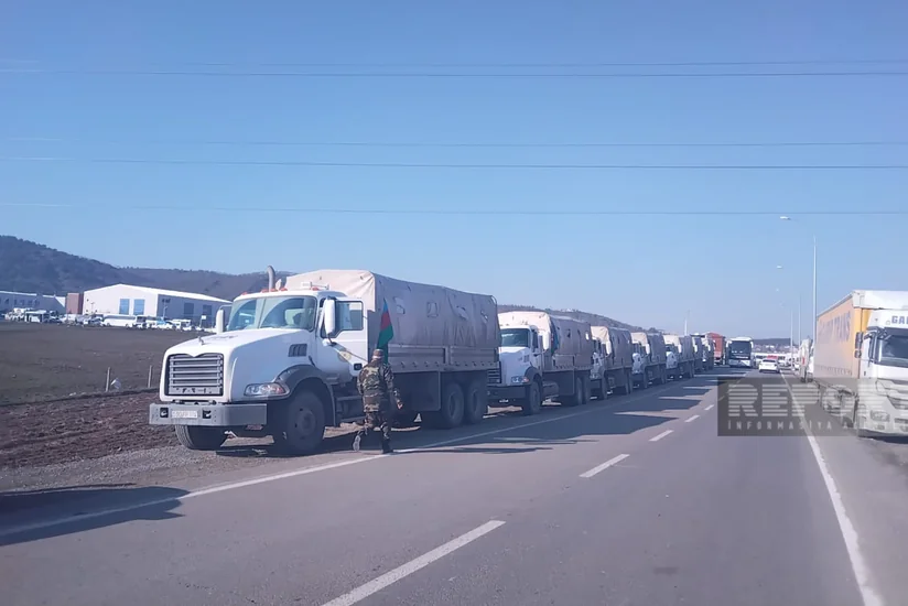 Обнародован объем гуманитарной помощи МЧС, оказанной Турции