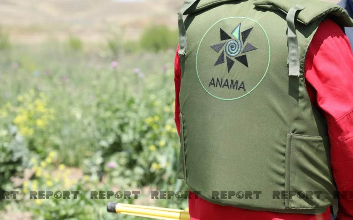 ANAMA-nın Cəbrayılda minaya düşən əməkdaşı evə buraxılıb