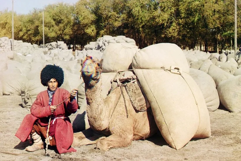 Əfqanıstanda etnik türkmənlərin sosial vəziyyəti ağırlaşıb