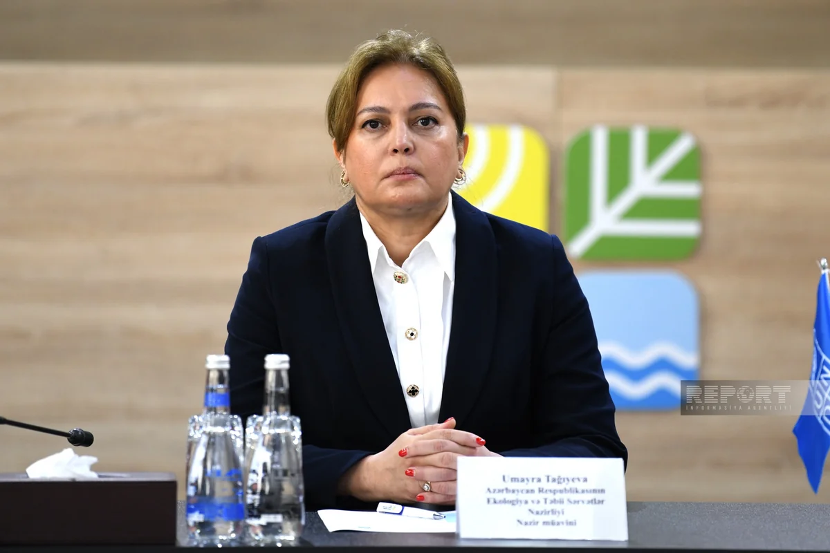 Умайра Тагиева: Ведется работа по сокращению выбросов парниковых газов