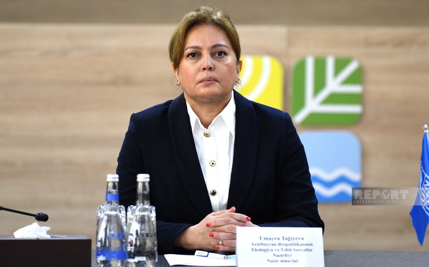 Umayra Taghiyeva: Azerbaijan making efforts to reduce emissions of gases that create greenhouse effect