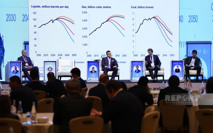 Wood Mackenzie: Biofuel production requires investment of up to $1 billion