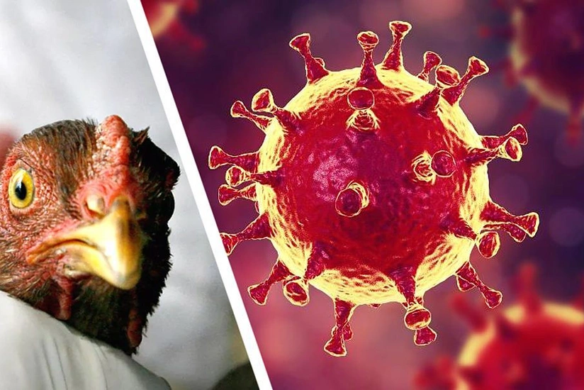 Ученые назвали возможную причину новой пандемии