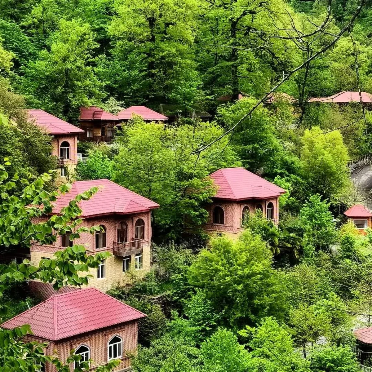 Lerikdəki istirahət mərkəzlərindən pul tələb olunur?