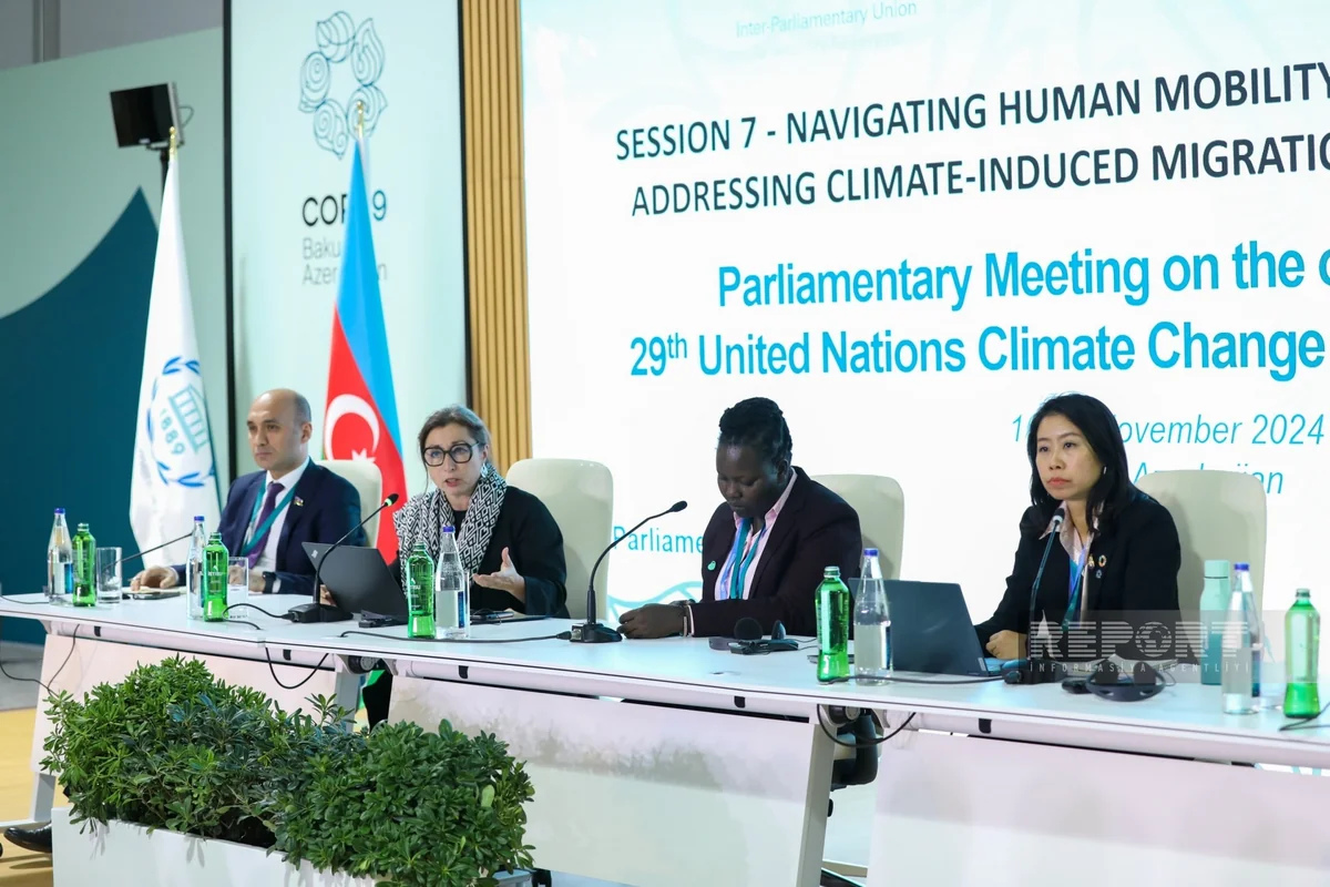 В Баку в рамках COP29 обсуждены вопросы вынужденного переселения и миграции из-за изменения климата