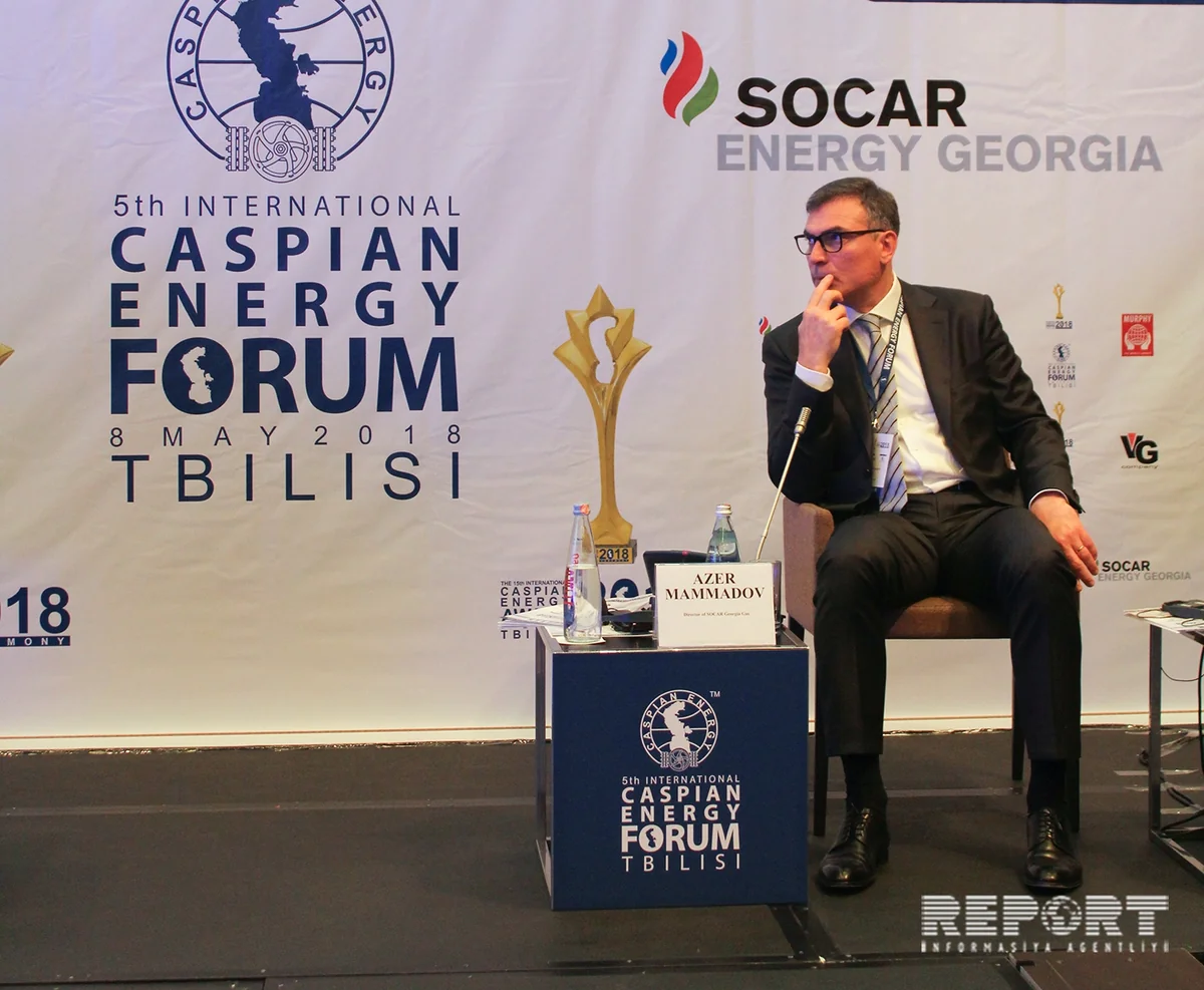 Азер Мамедов: SOCAR-Georgia-Gas перевыполнил свои обязательства