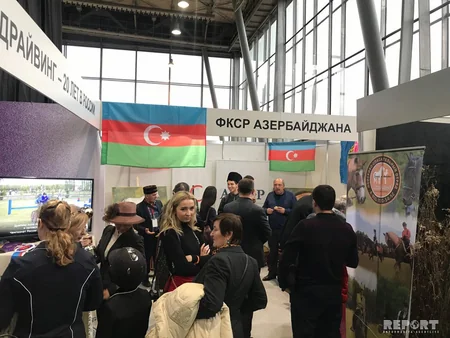 Qarabağ atları Moskvada beynəlxalq sərgidə nümayiş olunur