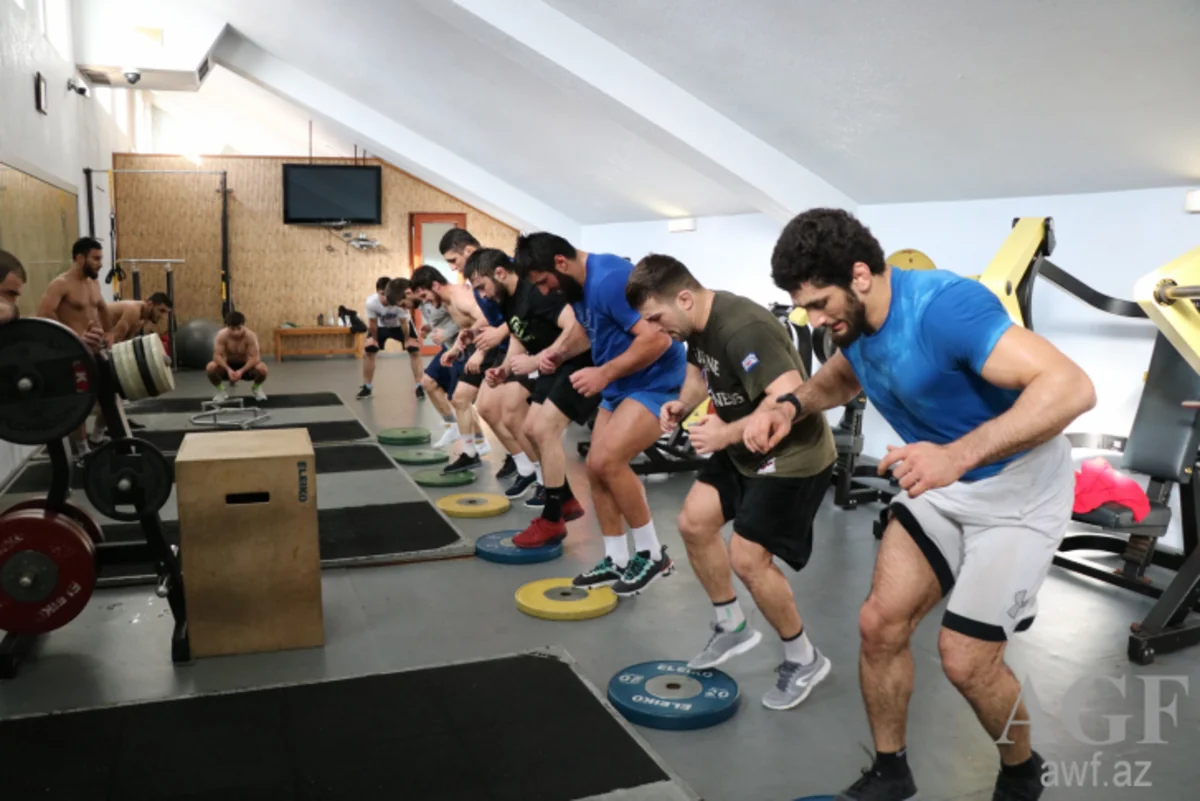 Azərbaycan güləşçiləri Bakıda təlim-məşq toplanışı keçir