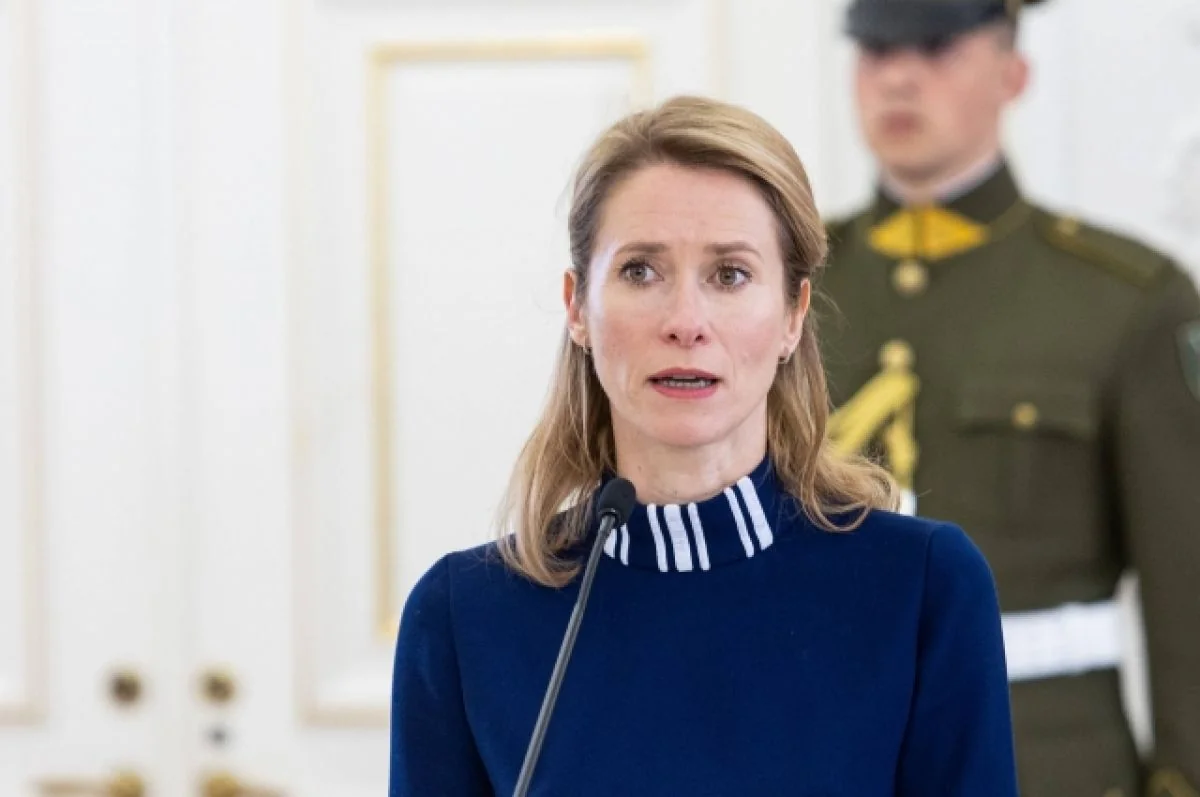 Премьер Эстонии: Членство в НАТО будет единственной гарантией безопасности для Киева