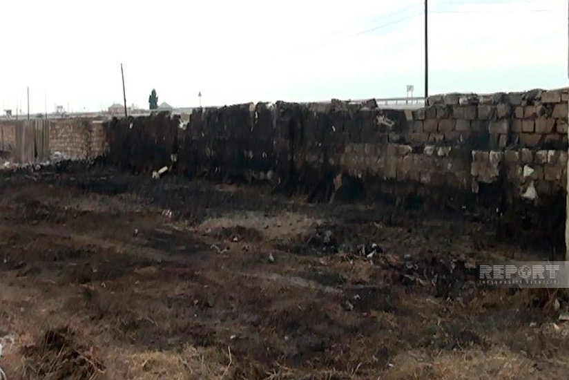 Goranboyda tövlə yanıb, 230 baş xırdabuynuzlu heyvan tələf olub