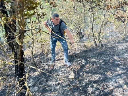 В Губе сгорело 500 га леса, пожар локализован