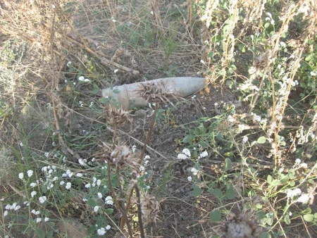 ​Tərtər və Füzulidə partlamamış hərbi sursatlar aşkarlanıb