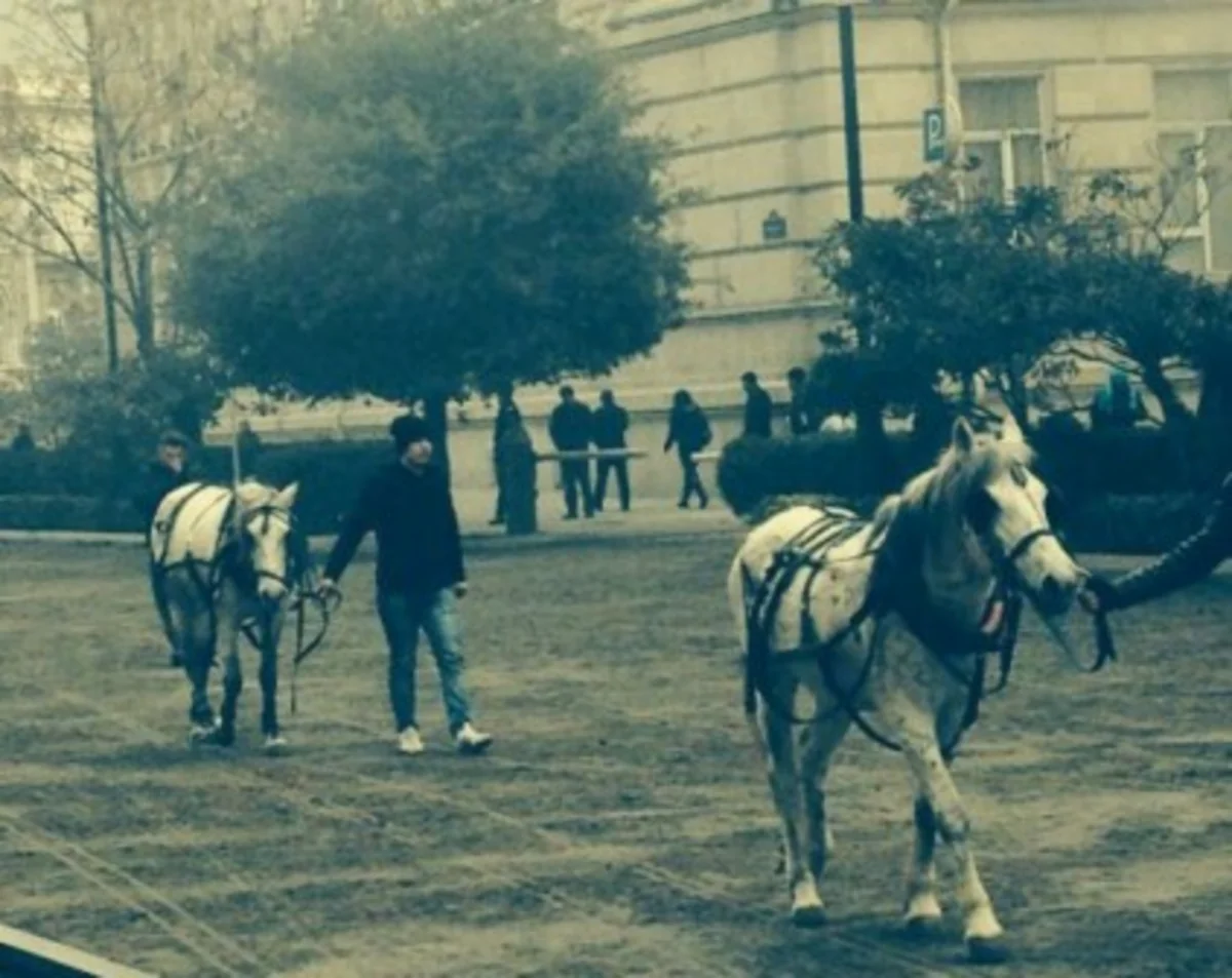 “Əli və Nino” filminin çəkilişləri ilə əlaqədar İçərişəhərdə hərəkət məhdudlaşdırılacaq