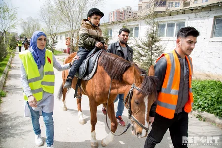 Atların müalicə etdiyi insanlar - REPORTAJ