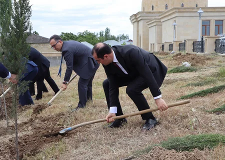 Dini komitə ibadət yerlərində ağacəkmə aksiyası keçirib