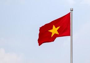 Вьетнам присоединился к БРИКС в статусе страны-партнера