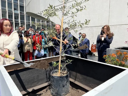 Meksika senatorlarına Azərbaycan mədəniyyəti, tarixinə aid materiallar nümayiş etdirilib