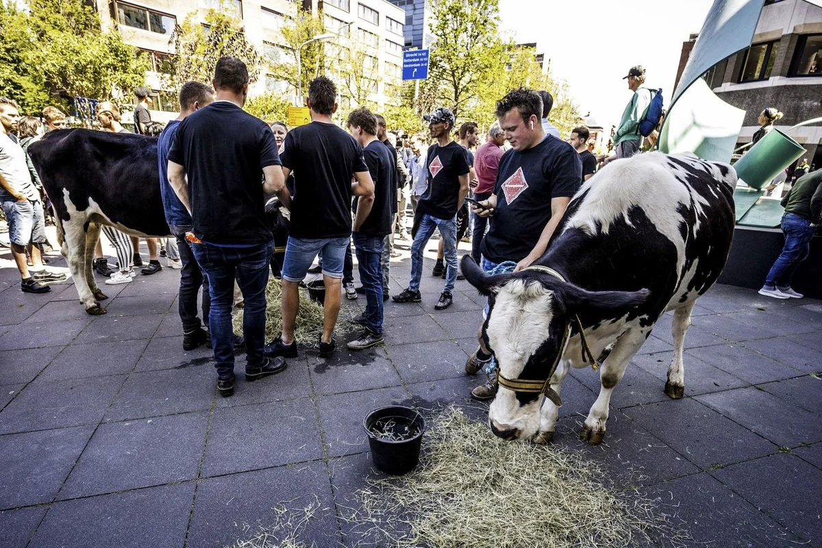 Farmers’ protests spread to Netherlands, border roads closed